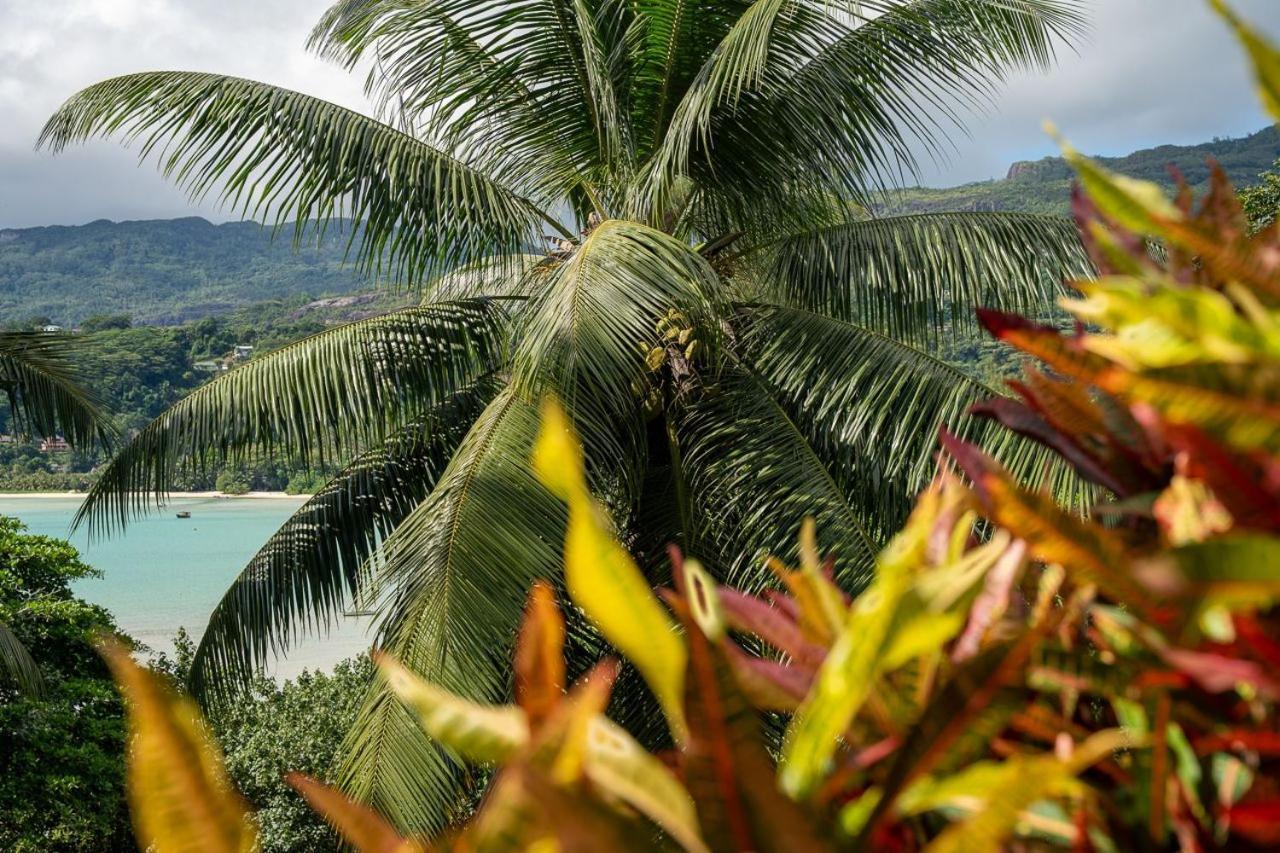 La Апартаменты Baie Lazare (Mahe)